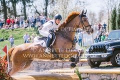 Violine de la Brasserie Eveline BODENMUELLER Radolfzell 2019