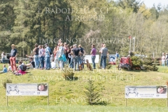 Radolfzell 2019