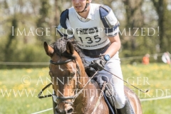 Henry VIII Davide RANDONE Radolfzell 2019