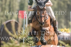 Huckleberry Finn 13 Prof. Dr. Jens ADOLPHSEN Radolfzell 2019