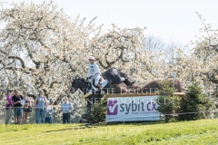 Fine Mouche DB Valentine STEEMAN Radolfzell 2019