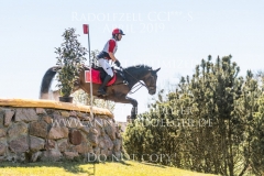 Bohannan Wouter DE CLEENE Radolfzell 2019