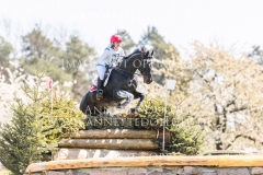 Canus Lupus Sophie SCHIESSER Radolfzell 2019