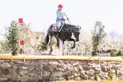 Canus Lupus Sophie SCHIESSER Radolfzell 2019