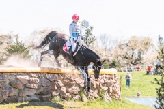 Canus Lupus Sophie SCHIESSER Radolfzell 2019