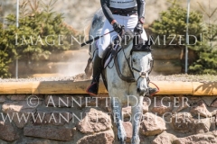 Amerina Sue Sven LUX Radolfzell 2019