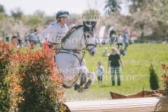 Careless Cricket Sophie PRITSCHAU Radolfzell 2019