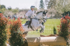 Careless Cricket Sophie PRITSCHAU Radolfzell 2019