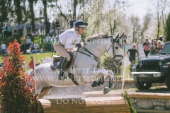 Careless Cricket Sophie PRITSCHAU Radolfzell 2019