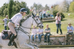 Careless Cricket Sophie PRITSCHAU Radolfzell 2019