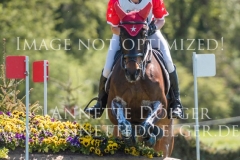 Grecvol de Lully Brigitte PETERHANS Radolfzell 2019