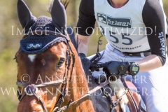 Lucy Dynamik Pauline KNORR Radolfzell 2019