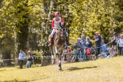 Happiness S Alessio RANDONE Radolfzell 2019