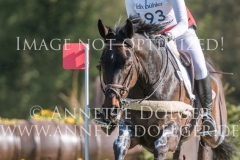 Silia Carla BRUNNER Radolfzell 2019