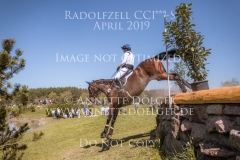 Pasadena 217 Josephine SCHNAUFER Radolfzell 2019