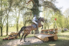 Laurus Nobilis Mzh Esther ANDRES Radolfzell 2019