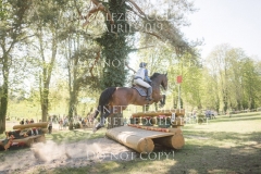 Laurus Nobilis Mzh Esther ANDRES Radolfzell 2019