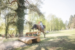 Laurus Nobilis Mzh Esther ANDRES Radolfzell 2019