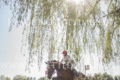 Lady Brown Charlotte WHITTAKER Radolfzell 2019