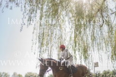 Lady Brown Charlotte WHITTAKER Radolfzell 2019