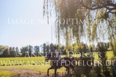 Zappelphilipp 2 Nina SCHULTES Radolfzell 2019