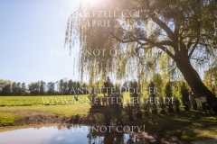 Riviera 58 Annika-Frederike ZERULLA Radolfzell 2019