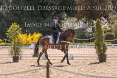 Radolfzell April 2019