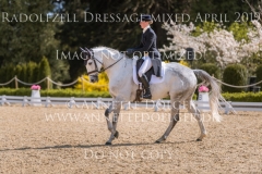 Careless Cricket Sophie PRITSCHAU Radolfzell April 2019