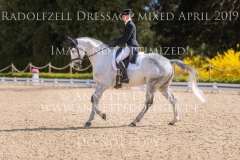 Careless Cricket Sophie PRITSCHAU Radolfzell April 2019