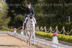 Careless Cricket Sophie PRITSCHAU Radolfzell April 2019