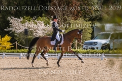 Tom Tom Go 3 Niklas BSCHORER Radolfzell April 2019