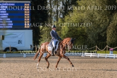 Quantana P Pauline KNORR Radolfzell April 2019