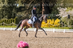 Brennus Andreas DIBOWSKI Radolfzell April 2019