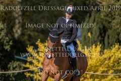 Shanaclough Contadora Kenki SATO Radolfzell April 2019