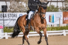 Shanaclough Contadora Kenki SATO Radolfzell April 2019