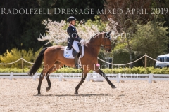 SAP Hale Bob OLD Ingrid KLIMKE Radolfzell April 2019