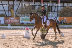 Equistros Siena Just Do It Ingrid KLIMKE Radolfzell April 2019