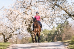 Impressionen Radolfzell April 2019