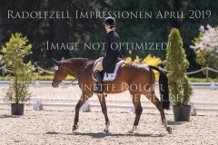 Impressionen Radolfzell April 2019