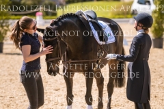 Impressionen Radolfzell April 2019