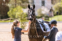 Impressionen Radolfzell April 2019