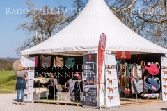 Impressionen Radolfzell April 2019