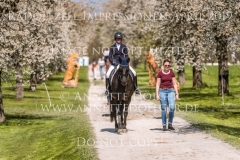 Impressionen Radolfzell April 2019