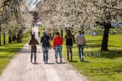 Impressionen Radolfzell April 2019