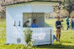 Impressionen Radolfzell April 2019