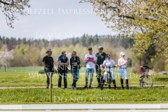 Impressionen Radolfzell April 2019