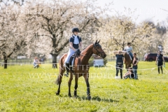 Impressionen Radolfzell April 2019