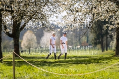 Impressionen Radolfzell April 2019