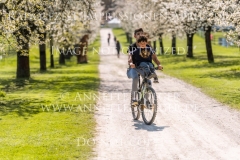 Impressionen Radolfzell April 2019