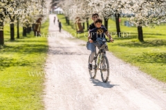 Impressionen Radolfzell April 2019